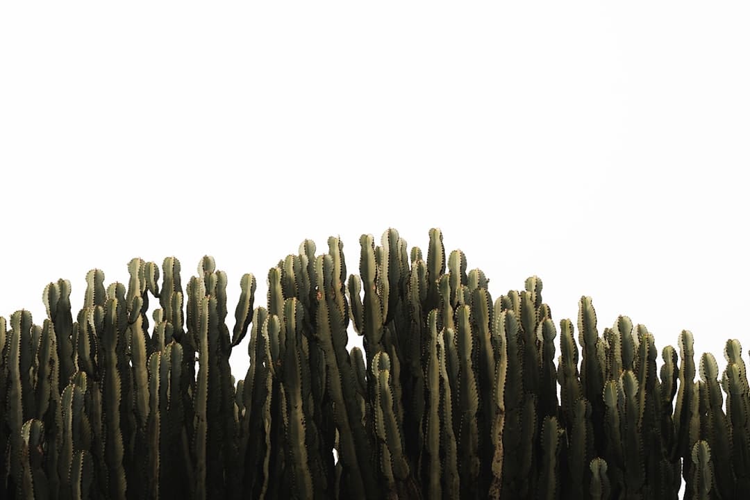 多晶硅主力合约走高！这个赛道爆火 概念股来了